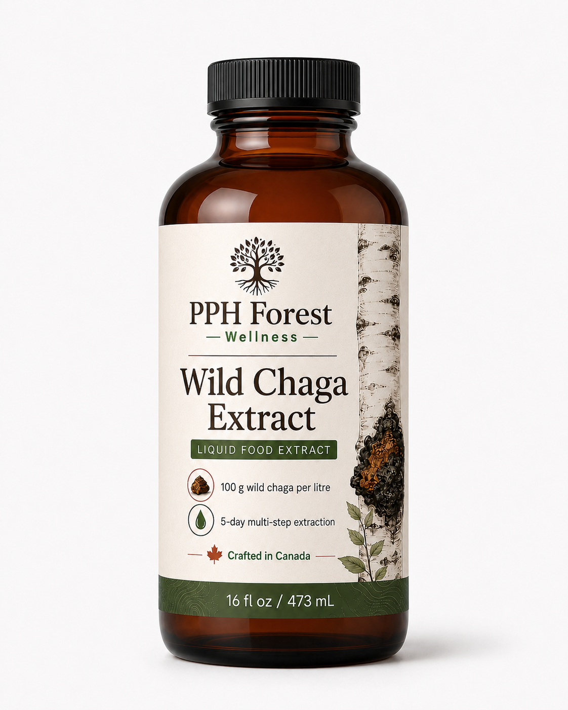 Wild Chaga Extract - Image 3